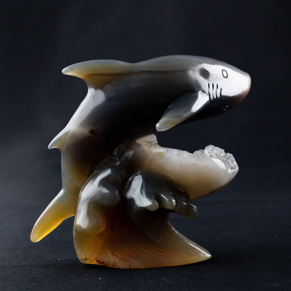 2.3-4.2inch Agate Geode Dolphin Carving