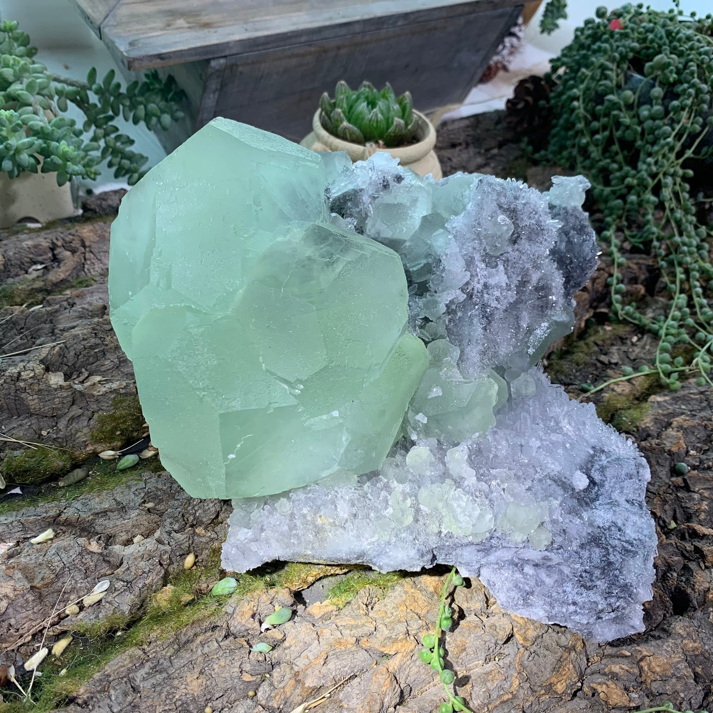 Crystal Sphalerite