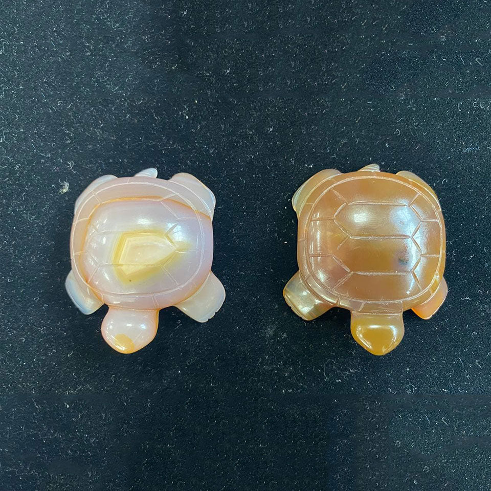 Agate Turtle Carving